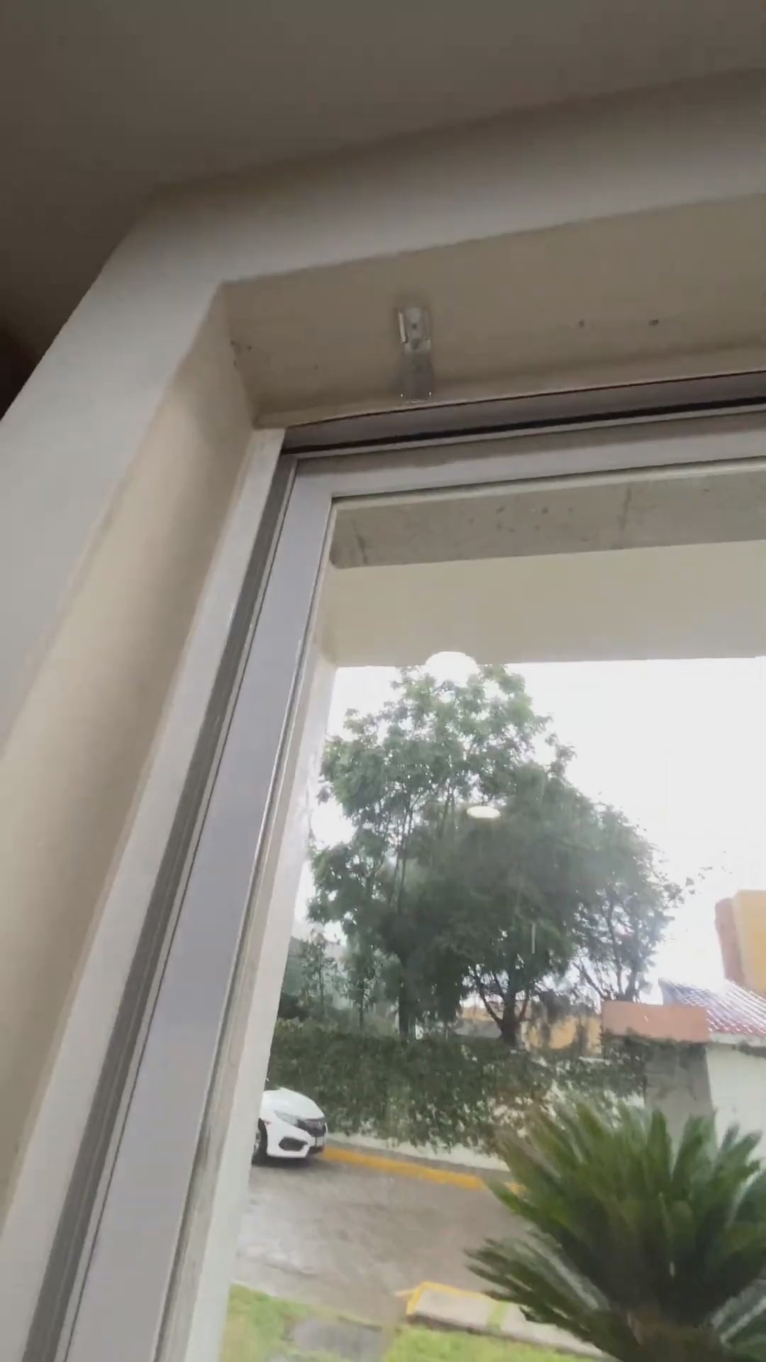 Persiana Duo Sheer Elegance - Crema